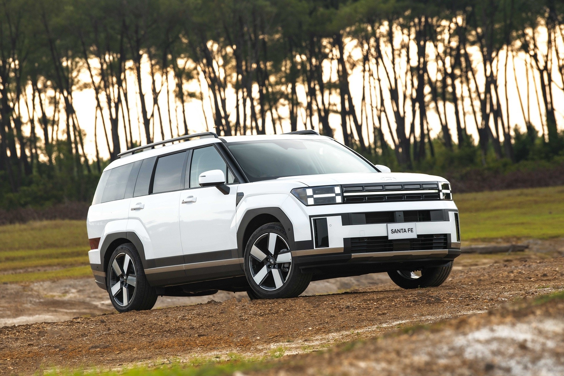 NEW HYUNDAI SANTAFE 2025