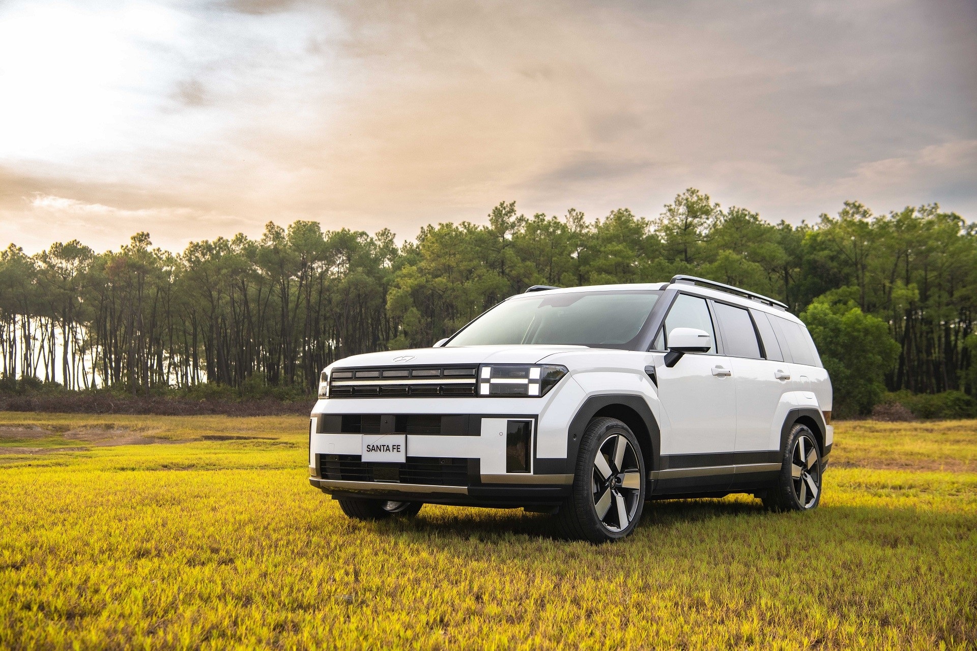 NEW HYUNDAI SANTAFE 2025