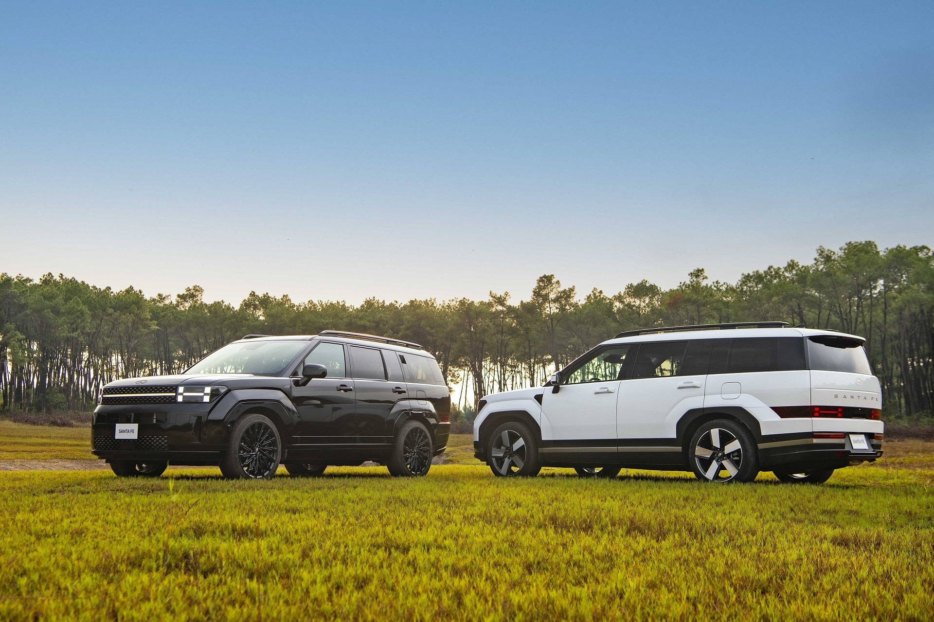 NEW HYUNDAI SANTAFE 2025